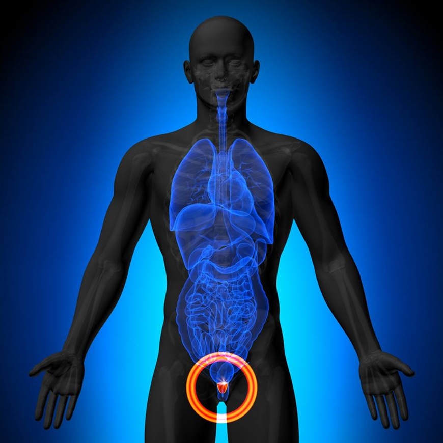 BIOPSJA PROSTATY : wskazania